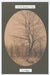 The Reflection Tree by A. J. Bialo