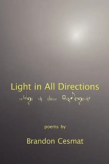 Light in All Directions by Brandon Cesmat