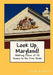 Look Up, Maryland!: Walking Tours of 25 Towns in the Free State by Doug Gelbert