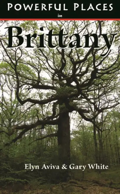 Powerful Places in Brittany by Elyn Aviva, Gary White