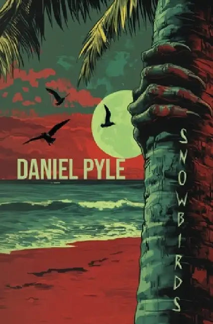 Snowbirds by Daniel Pyle