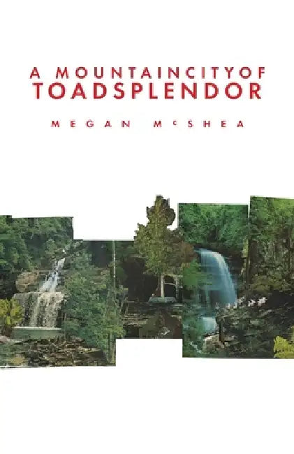 A Mountain City of Toad Splendor by Megan McShea