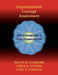 Organizational Courage Assessment by Ralph H. Kilmann, Linda A. O'Hara, Judy P. Strauss