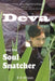 Deva and the Soul Snatcher: a time-travel fantasy by Barbara Rogers Wilson