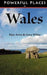 Powerful Places in Wales by Elyn Aviva, Gary White