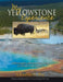 My Yellowstone Experience by Jonathan G. Way