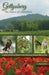 Gettysburg: The Nature of a Battlefield: A Guide to Birds and Flowers in the Gettysburg National Military Park by Patricia Rich, Lana Taylor