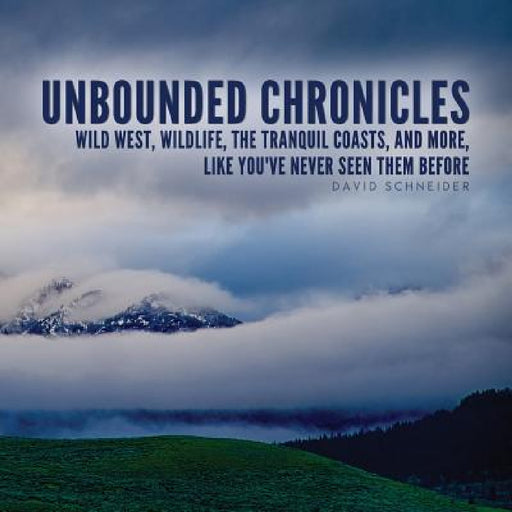 Unbounded Chronicles by David Schneider, Bobbi Christmas
