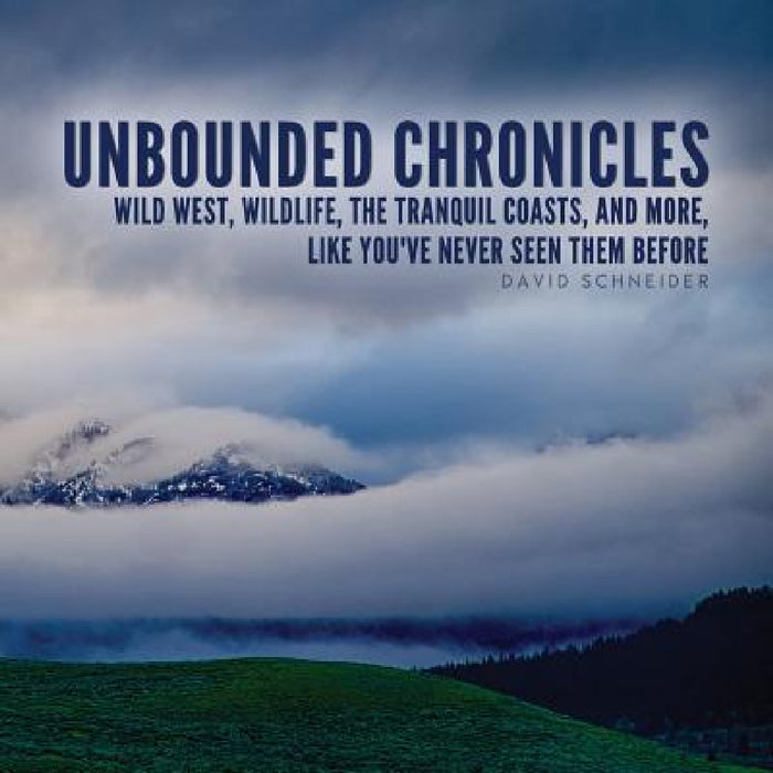 Unbounded Chronicles by David Schneider, Bobbi Christmas