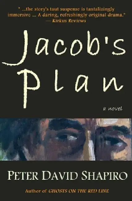 Jacob's Plan by Peter David Shapiro