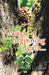 Always Beginning Again... by Anne L. Lanier
