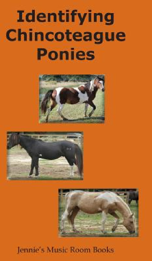 Identifying Chincoteague Ponies by Gina Aguilera