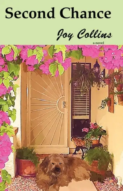 Second Chance by Joy Collins