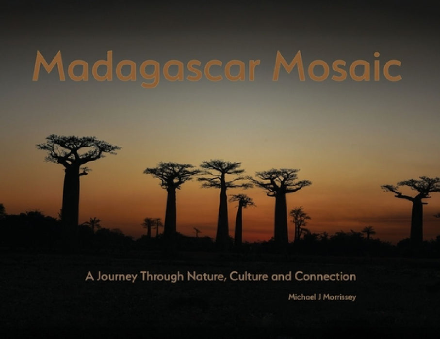 Madagascar Mosaic - A Journey Through Nature, Culture, and Connection by Michael J. Morrissey