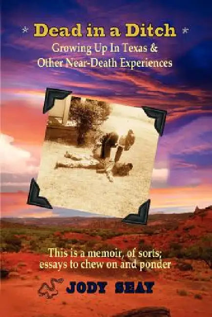 Dead in a Ditch by Jody Seay