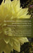 Traditional Chinese Medicine: A Woman's Guide to a Hormone-Free Menopause by Omd Nan Lu, Ellen Schaplowsky
