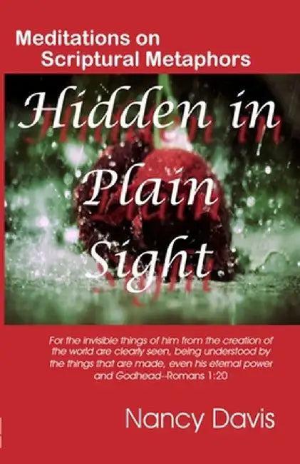 Hidden in Plain Sight by Nancy Davis