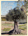 Messianic Judaism Class, Student Book by Rabbi Jim Appel, Rabbi Jonathan Bernis, Rabbi David Levine