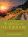 Healing of the Fractured Soul by Steve Shamblin