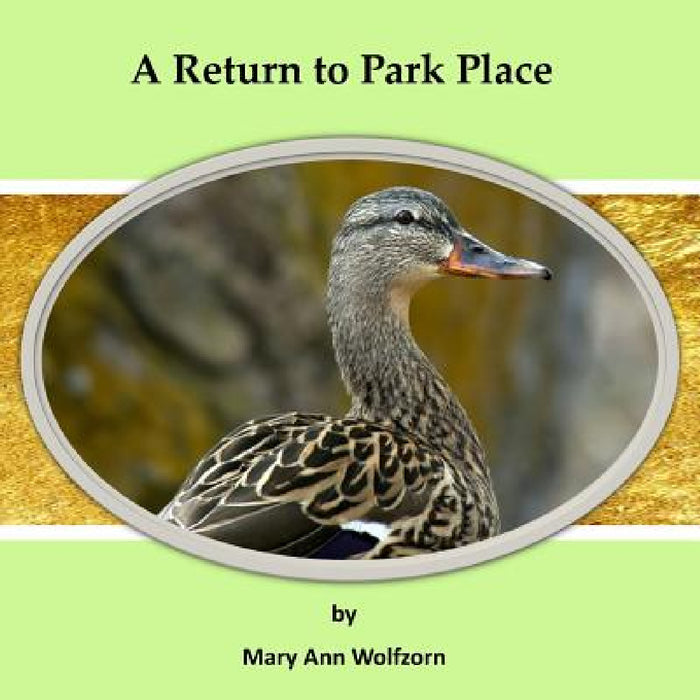 A Return to Park Place by Mary Ann Wolfzorn, Gene Wolfzorn, Neal L. Powers