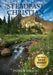 Steadfast Christian: A Higher Call to Faith, Family, and Hope by Patrick Dillon