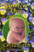 Positive Flow Childbirth by Lawrence Vijay Girard