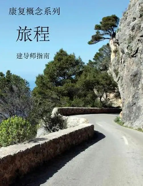 Concepts of Recovery the Journey Facilitator's Guide: (Mandarin Translation) by Millie Lace