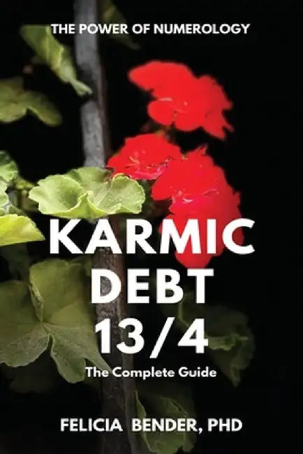 The Power Of Numerology: Karmic Debt 13 4 by Bender, Felicia