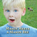 Mason Meets a Mason Bee: An Educational Encounter with a Pollinator by Dawn V. Pape