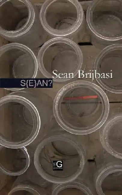S{e}an? by Sean Brijbasi