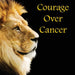 Courage Over Cancer by Sr. Reimer David J., Christina J. Steffy