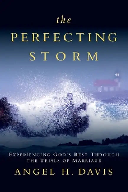 The Perfecting Storm: Experiencing God's Best Through the Trials of Marriage by Angel H. Davis