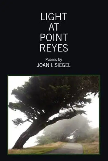 Light at Point Reyes by Joan I. Siegel