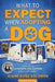 What to Expect When Adopting a Dog: A Guide to Successful Dog Adoption for Every Family by Diane Rose-Solomon