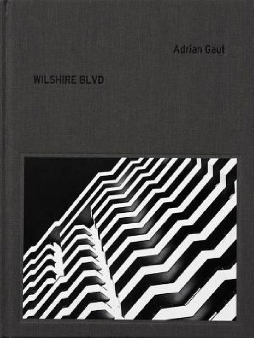 Adrian Gaut: Wilshire Blvd by Adrian Gaut