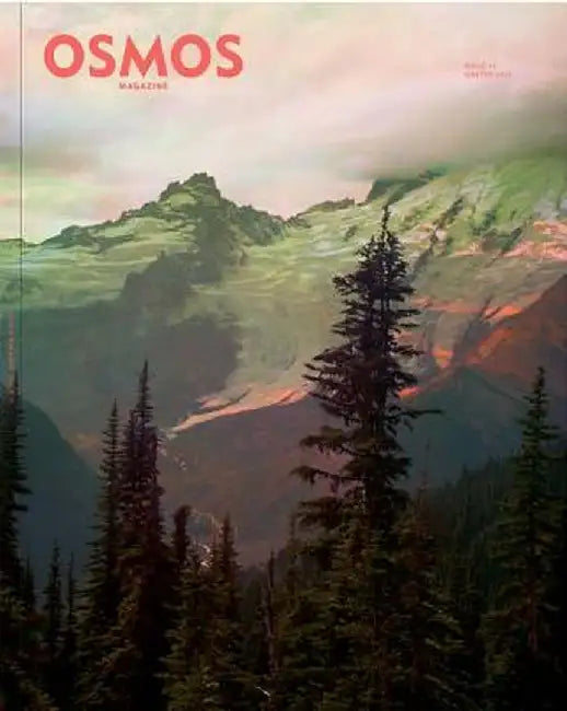 Osmos Magazine: Issue 11 by Cay Sophie Rabinowitz