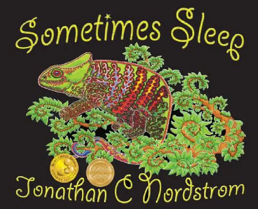 Sometimes Sleep by Jonathan Nordstrom