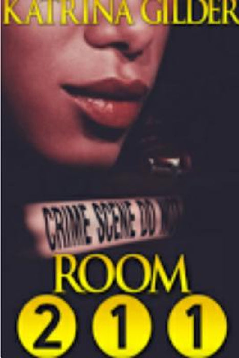 Room 211 by Katrina Gilder