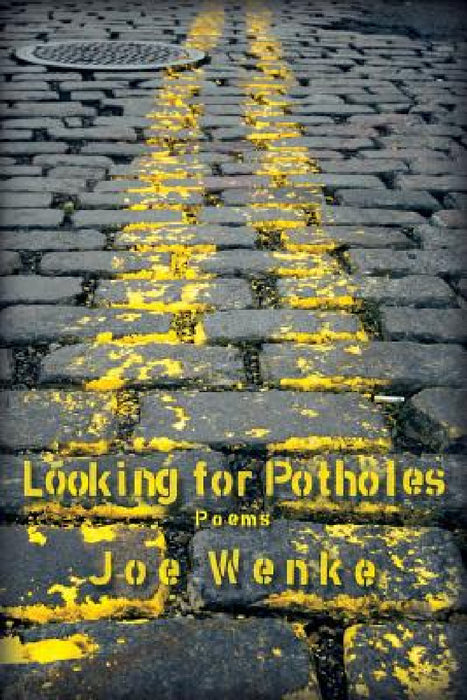 Looking for Potholes by Joe Wenke