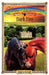 Dark Fire: Sometimes Horses Need a Little Magic by Angela Dorsey, Marina Miller