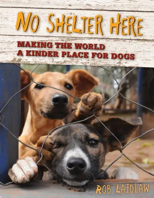 No Shelter Here: Making the World a Kinder Place for Dogs by Rob Laidlaw