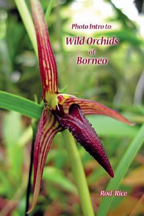 Photo Intro to: Wild Orchids of Borneo by Rod Rice