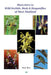 Photo Intro to: Wild Orchids, Birds & Dragonflies of West Thailand by Rod Rice