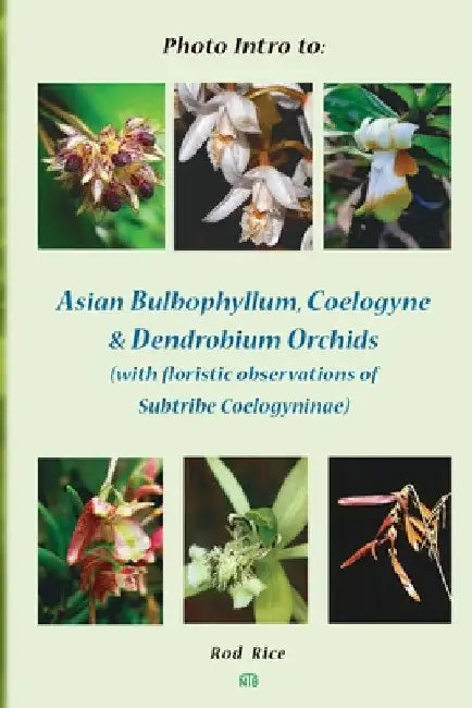 Photo Intro to: Asian Bulbophyllum, Coelogyne & Dendrobium Orchids (with floristic observations of Subtribe Coelogyninae) by Rod Rice