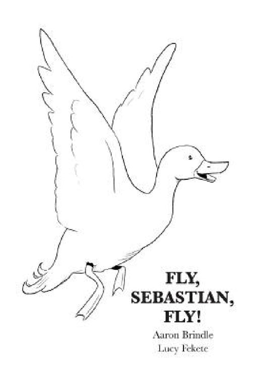 Fly, Sebastian, Fly! by Aaron Brindle, Lucy Fekete