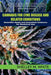 Cannabis for Lyme Disease & Related Conditions: Scientific Basis and Anecdotal Evidence for Medicinal Use by Shelley White