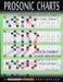 Fretboard Chord Charts for Guitar - Volume 1 by Tony Pappas