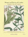 Botany and History of Comfrey; Garden Uses of Comfrey by Nancy Shirley