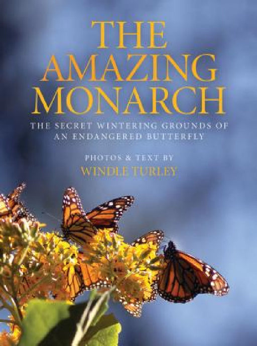 Amazing Monarch: The Secret Wintering Grounds of an Endangered Butterfly by Windle Turley