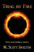 Trial by Fire: Every Soul Makes a Choice by M. Scott Snelten